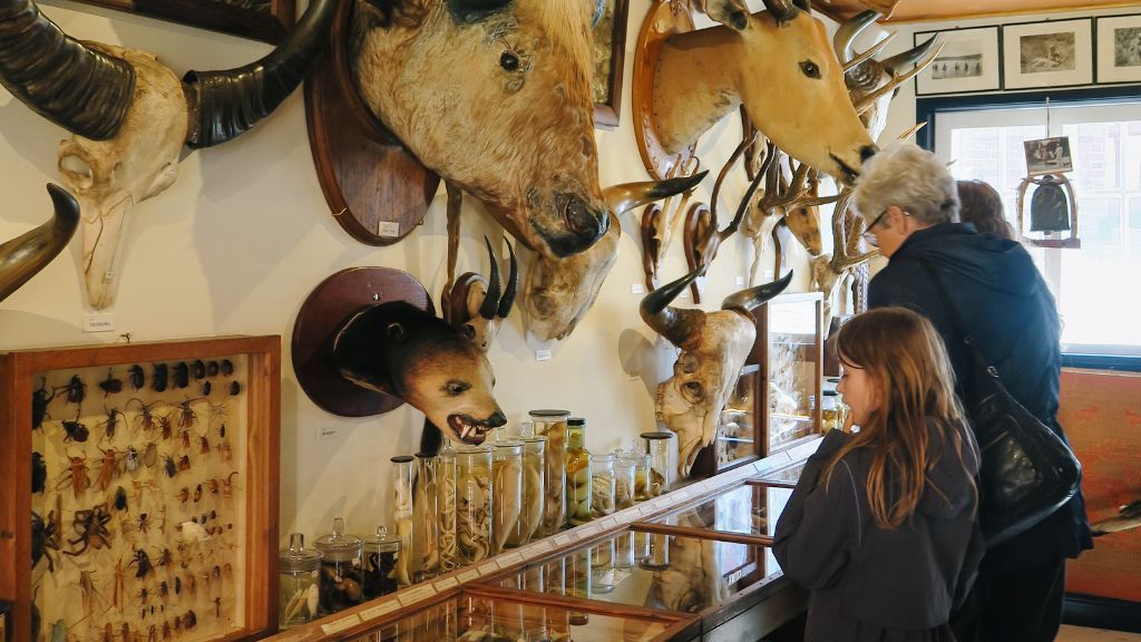 Grandparents and grandchildren at the Siam Treasury Museum