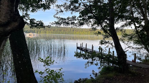 Udsigt over sø på vandring på Silkeborg Caminoen