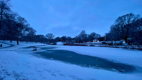 Sneklædt sø i Aarhus Universitetspark