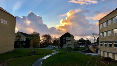 Sti gennem Aarhus Universitetspark