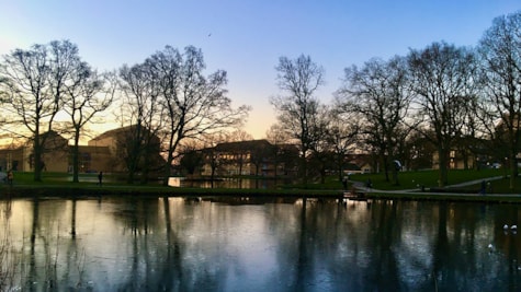 Aarhus Universitetspark i aftenlys en efterårsdag