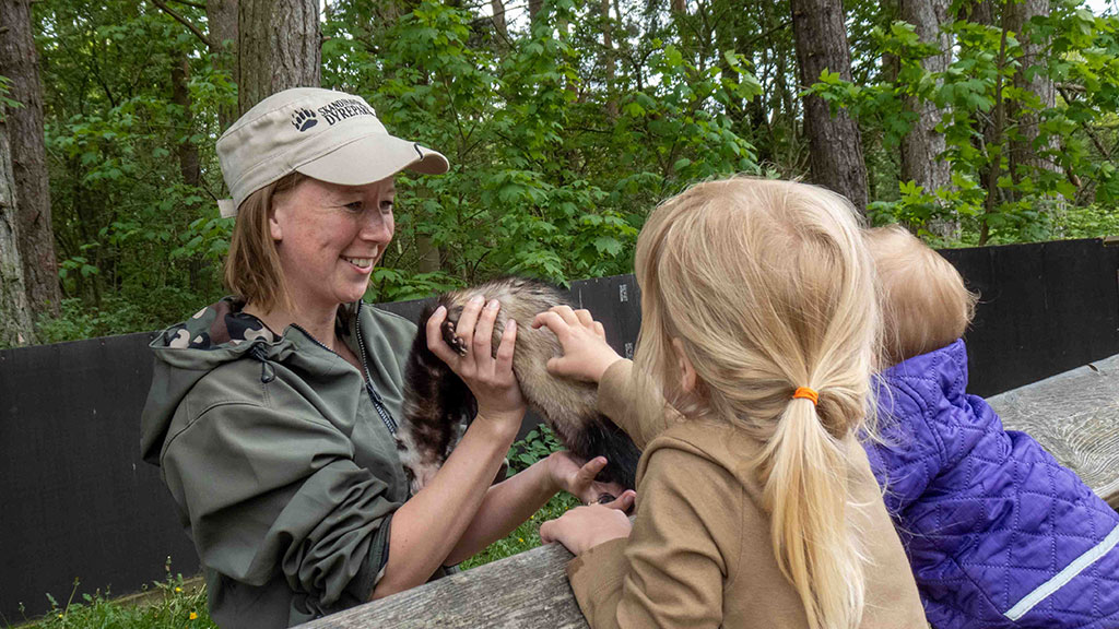 Børn oplever Ilderfremvisning i Skandinavisk Dyrepark