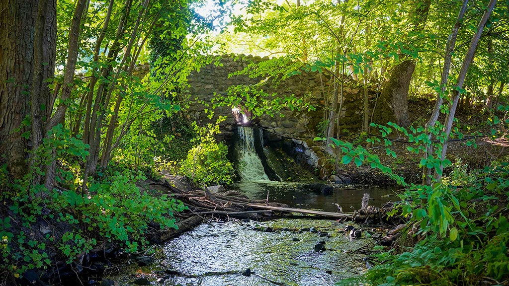 Ørnbjerg Mølle i Nationalpark Mols Bjerge