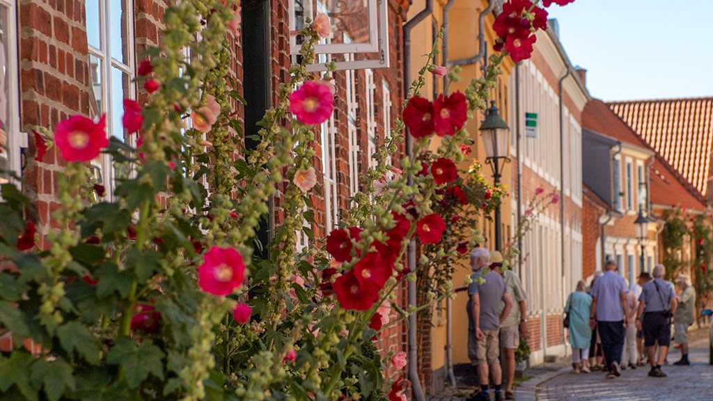 Tour of the bakery and backyards in Viborg