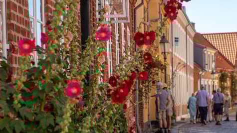 Tur ved bageren og baggårde i Viborg