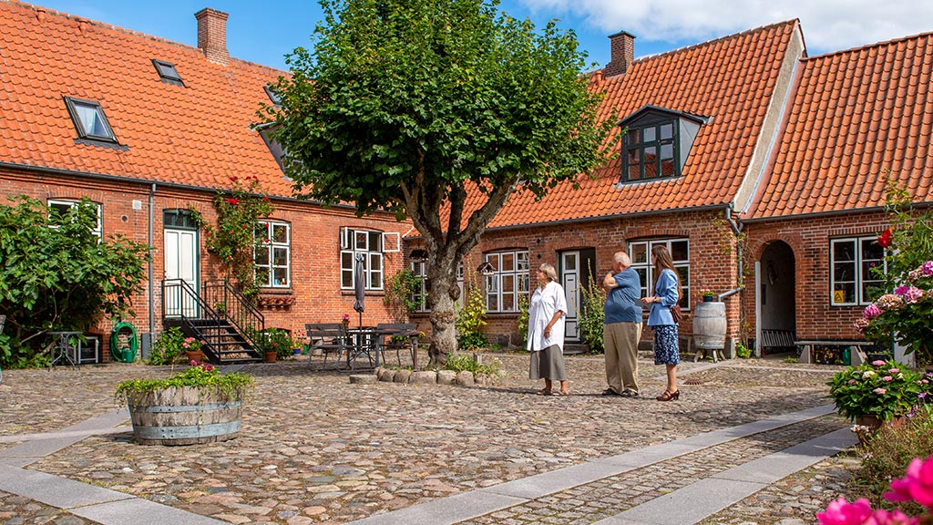 Backyard in Sct Mogens Gade in Viborg