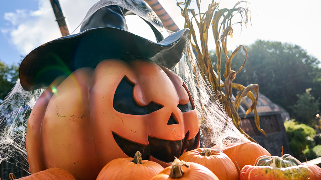 Pumpkin man in Djurs Sommerland
