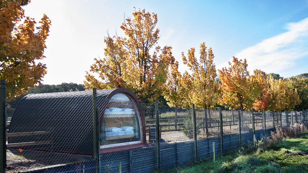 Stay safe in the polar bear cabin in Scandinavian Wildlife Park