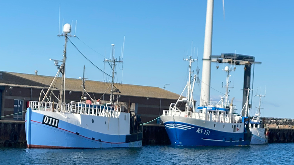 Fishing environment at Bønnerup Harbour in northern Djursland