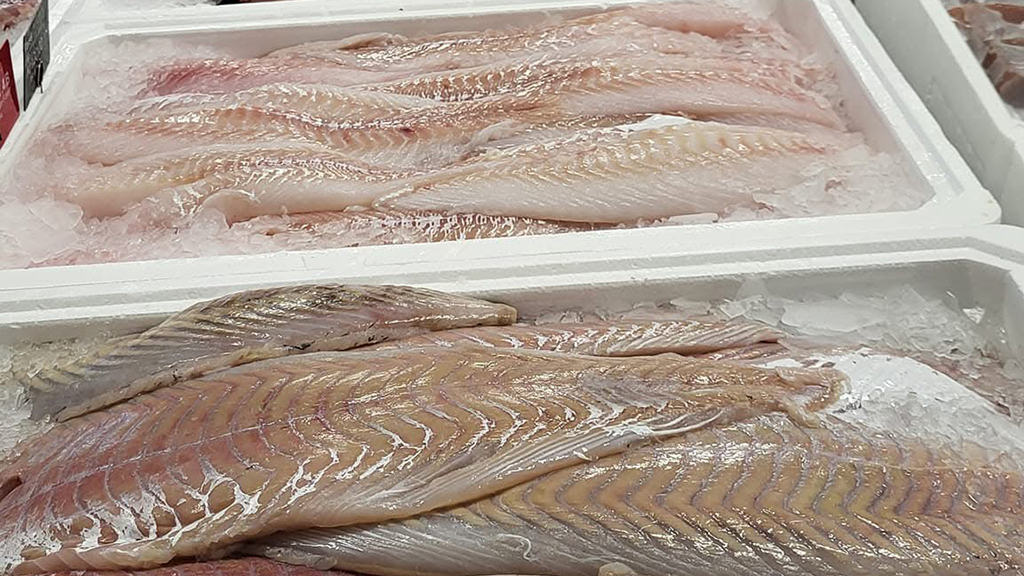 Fresh fish at Bønnerup Harbour in northern Djursland