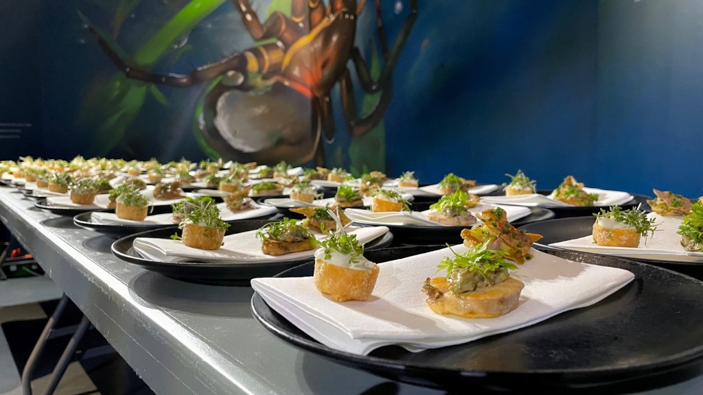 AQUA Akvarium & Dyrepark mad