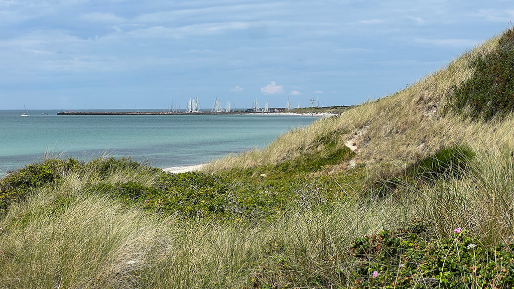 Naturen omkring Købmanden ved Havnen på Anholt
