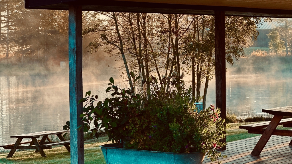 Lindegaarden Svejstrup i naturen