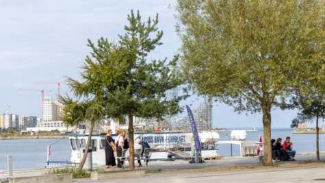 Aarhus Havnerundfart sightseeing