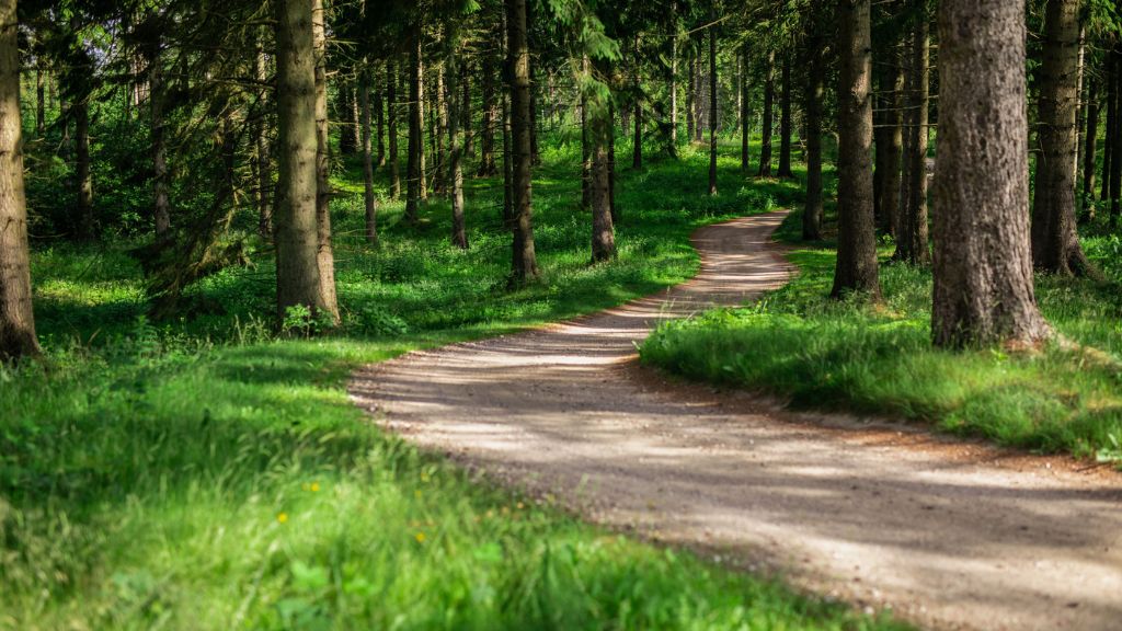 Natur ved Lübker Golf & Spa Resort