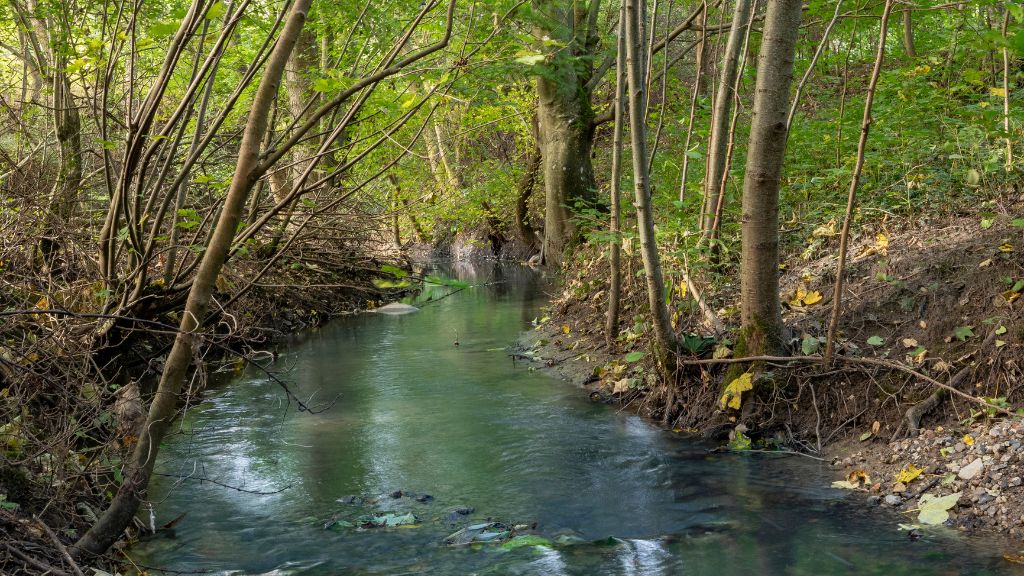 Natur ved Hotel Årslev Kro