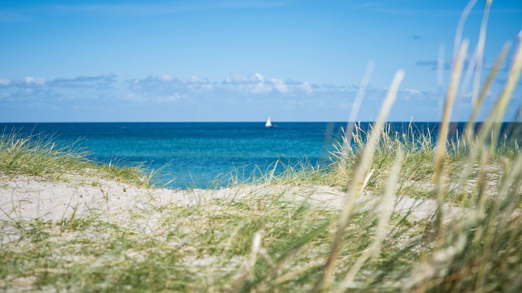 Lærkereden Grenaa