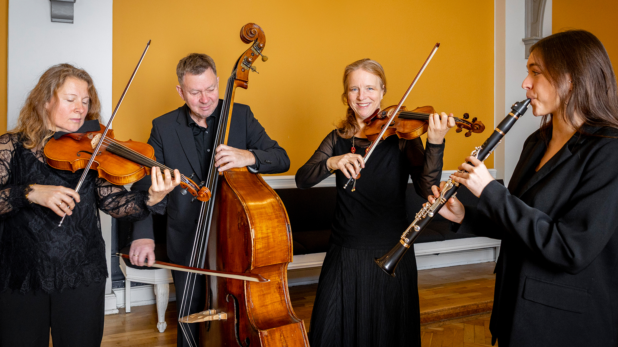 Grønsagskoncerter med Randers Kammerorkester