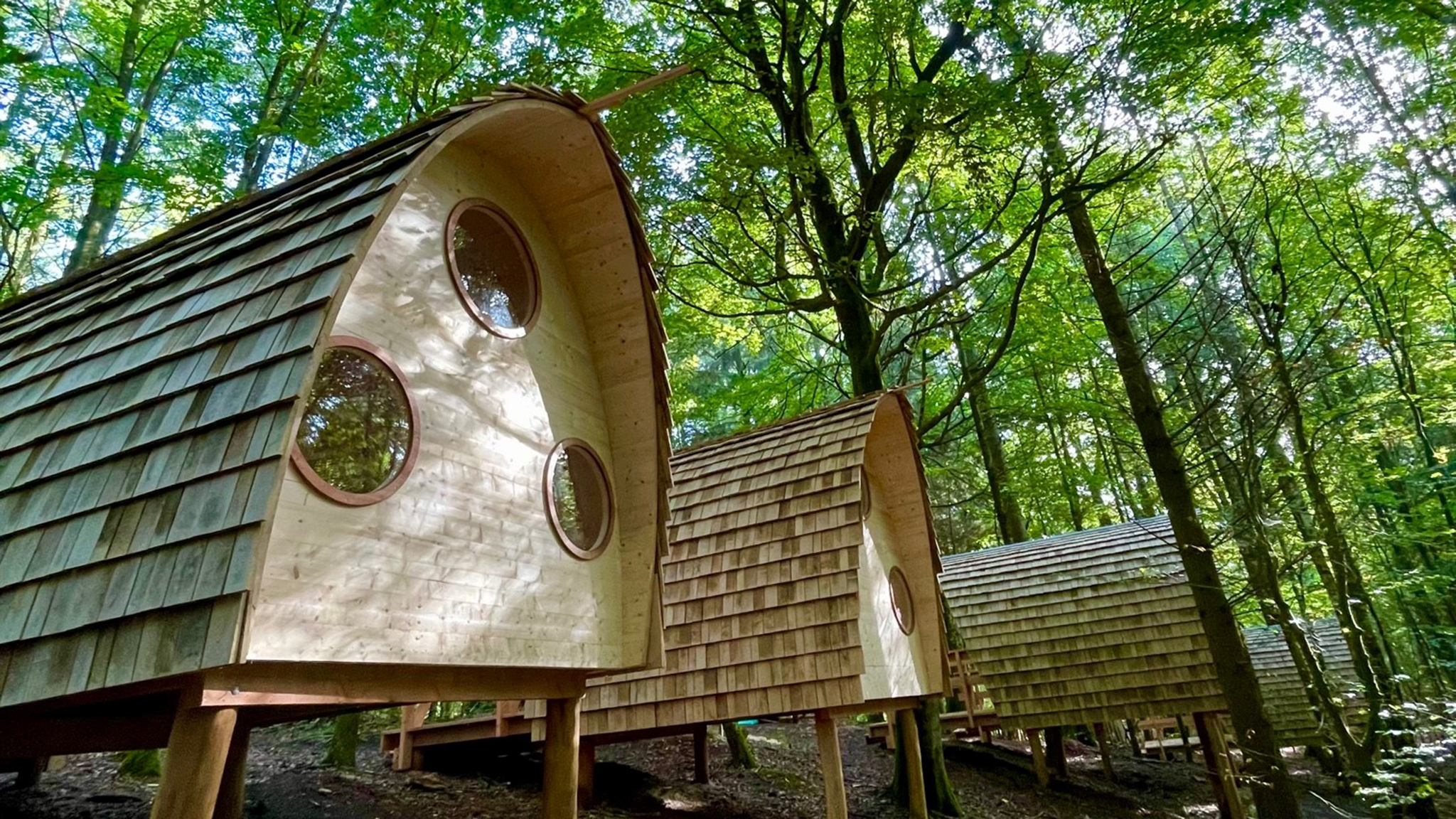 Sov i shelters hos AQUA Akvarium & Dyrepark