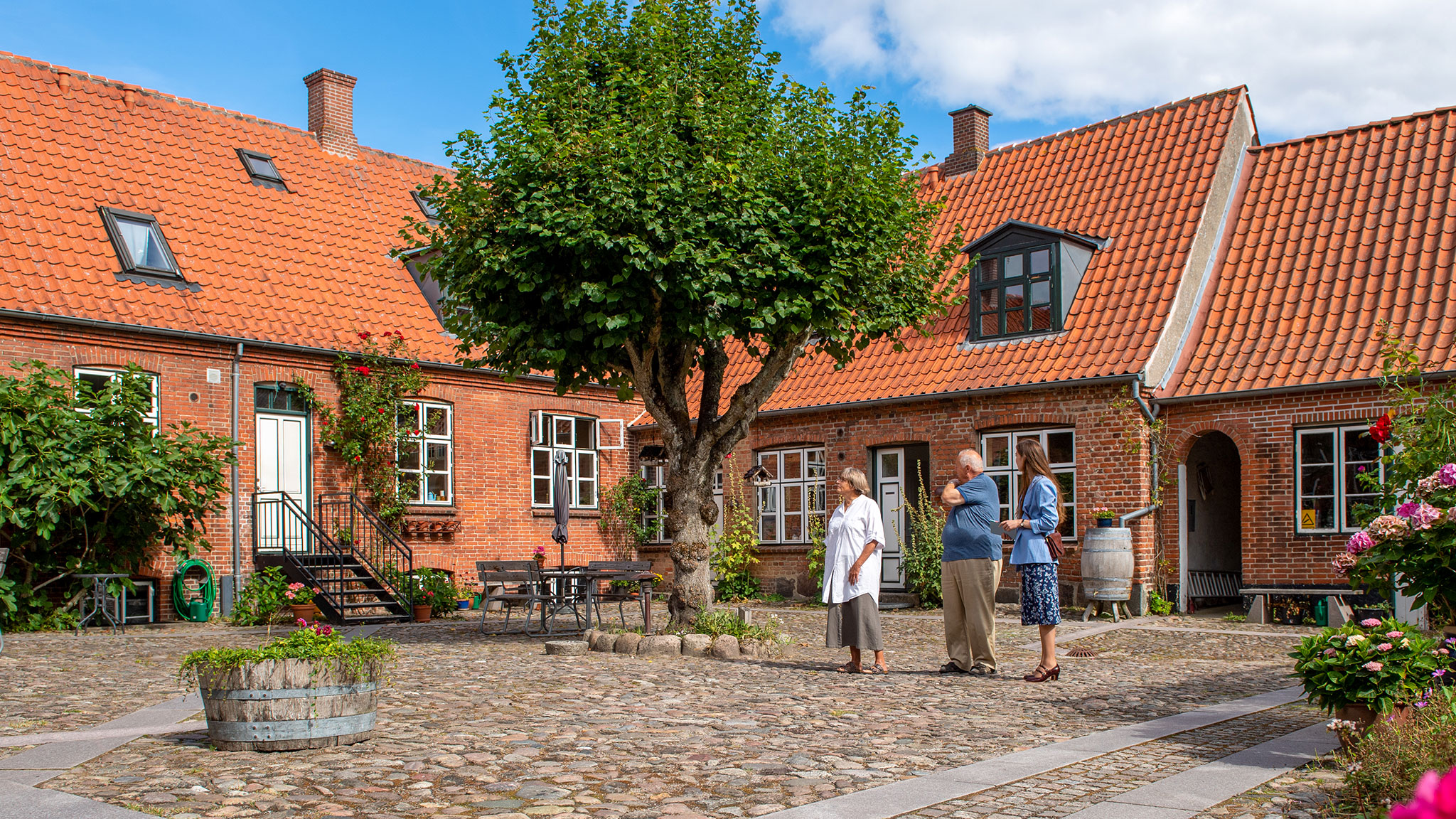 Med guide i Viborgs baggårde