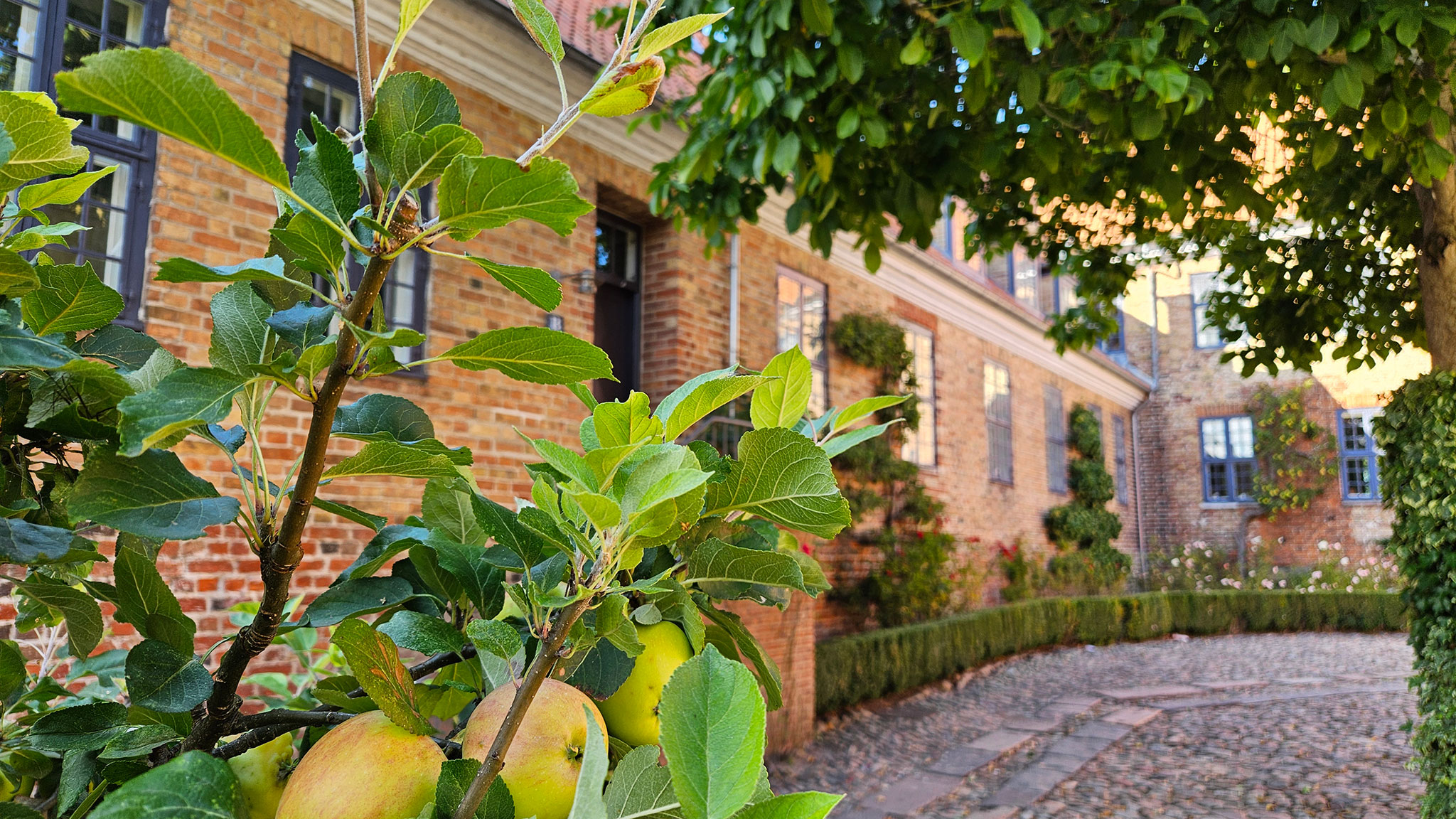 Viborg Bispegård