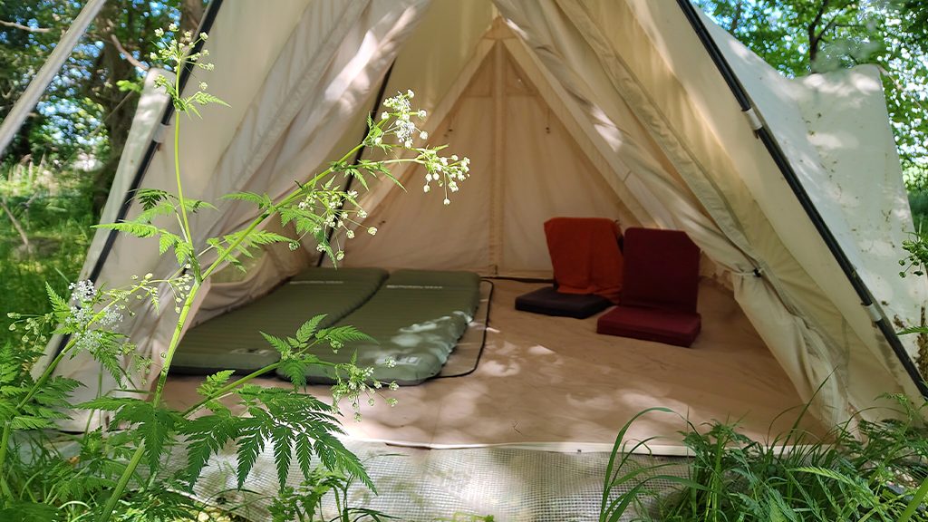 Molsness tent