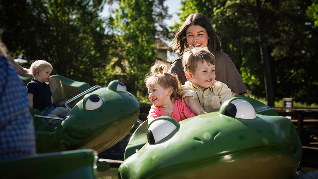 Frøerne i Djurs Sommerland
