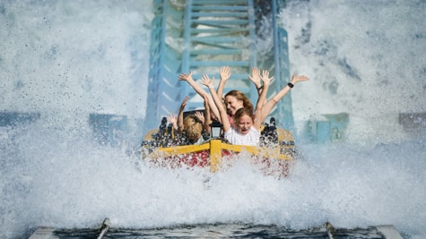 Skatteøen i Djurs Sommerland