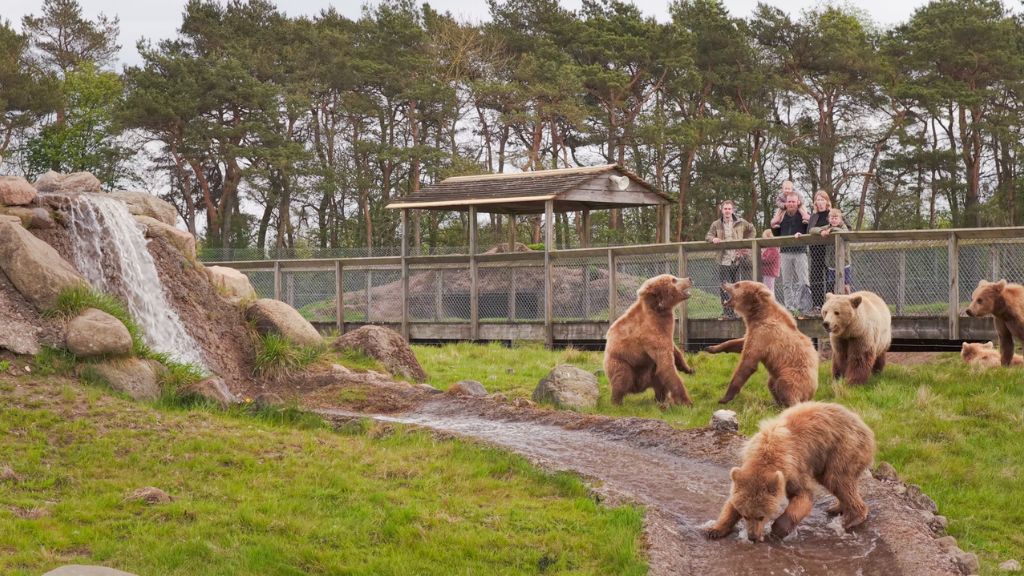 Skandinavischer Tierpark