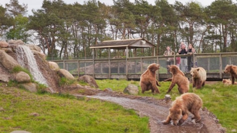 Skandinavisk Dyrepark