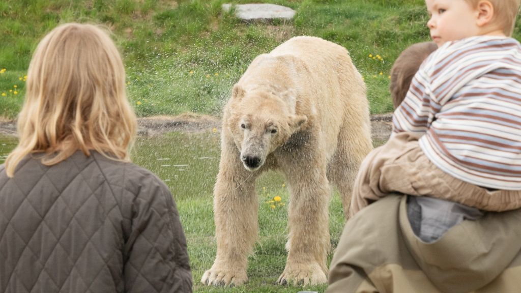 Skandinavischer Tierpark