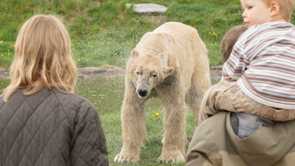 Skandinavischer Tierpark