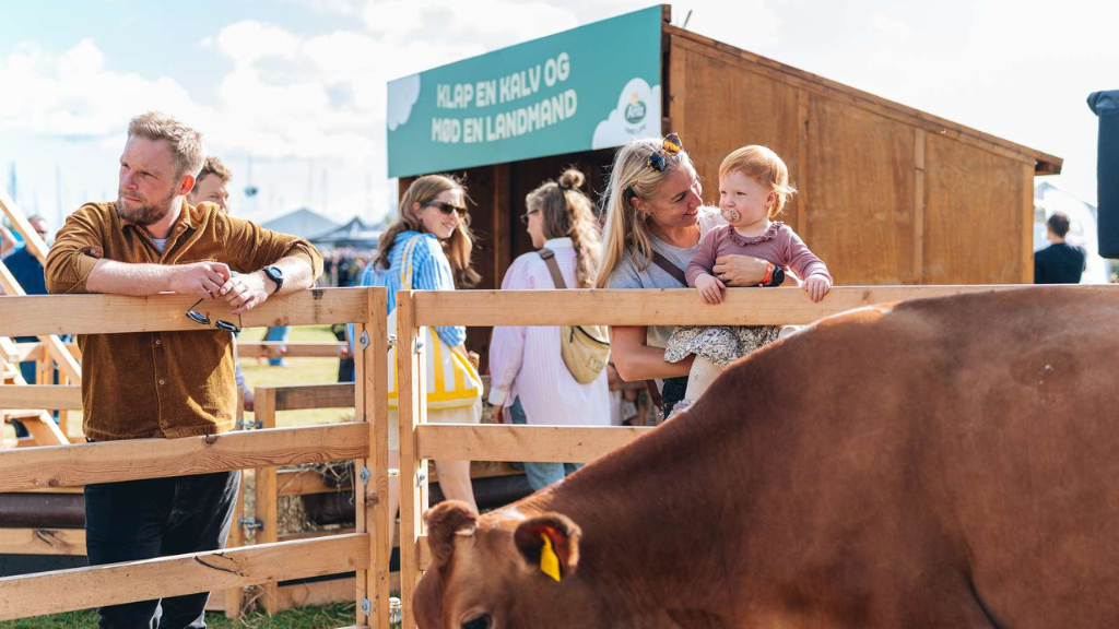 Klap en ko til Food Festival