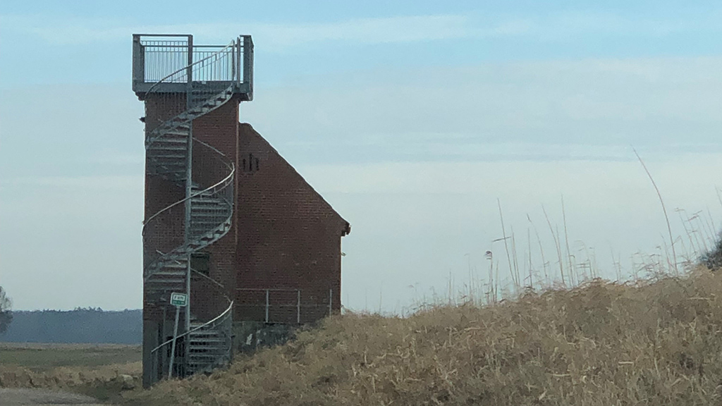 Birdwatching at Øster Tørslev on the Randers Fjord Trail