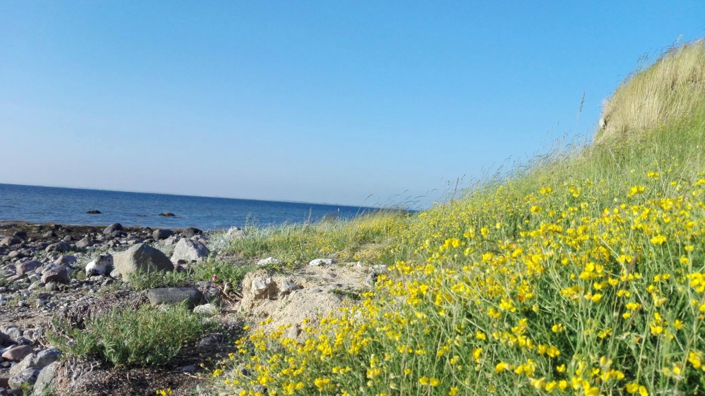Public toilet at Ommelshoved