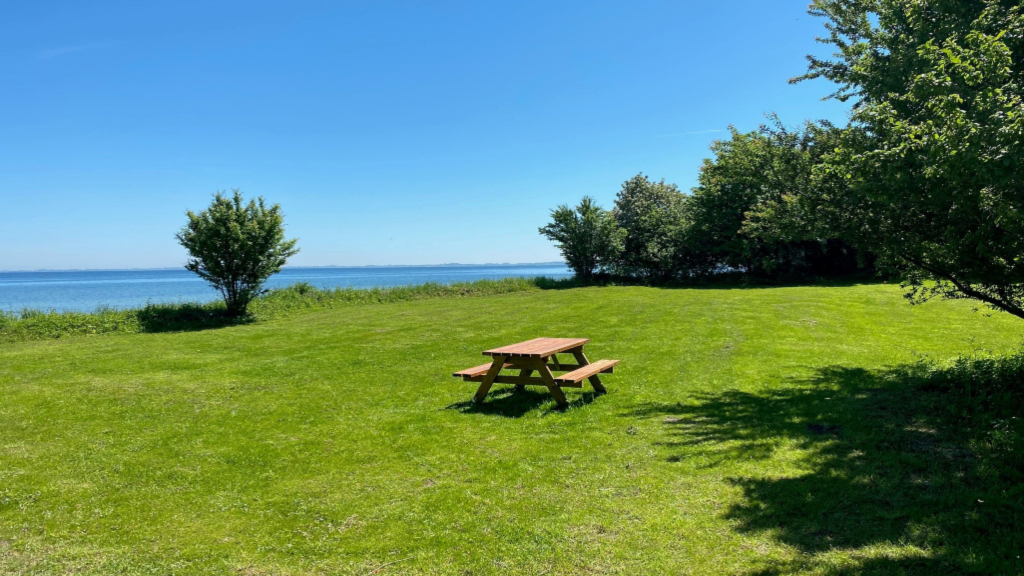 Der er plads til store armbevægelser på plænen foran Strandbyen Havns teltplads.