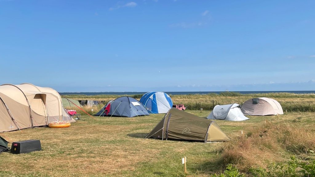 Medium-sized campsite at Marstal Camping.