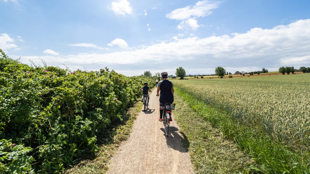 The Castle Route on Ærø