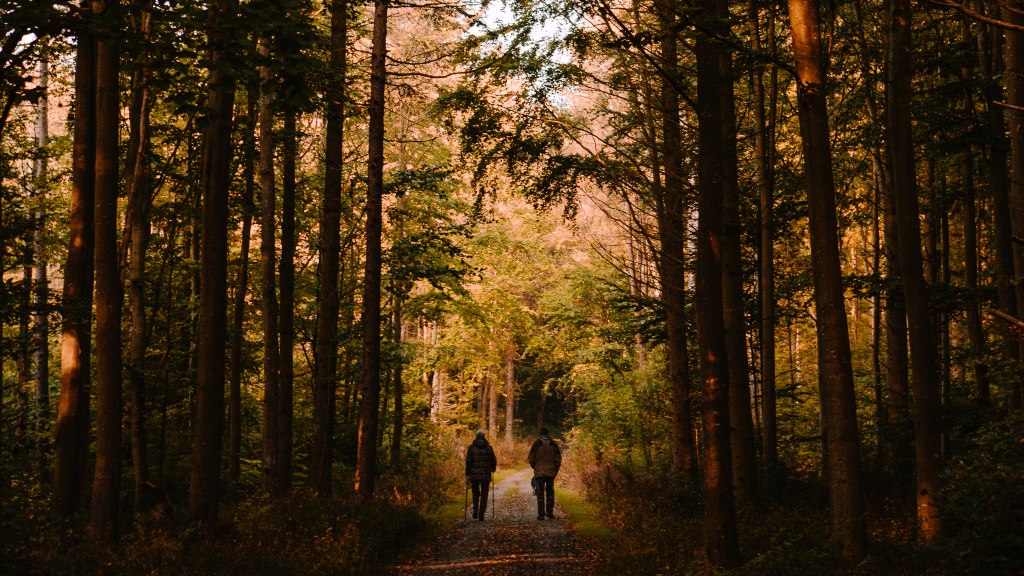 Efterårsferie på Ærø i Det Sydfynske Øhav