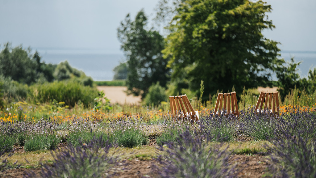 Guided tour at Ærø Soap Company
