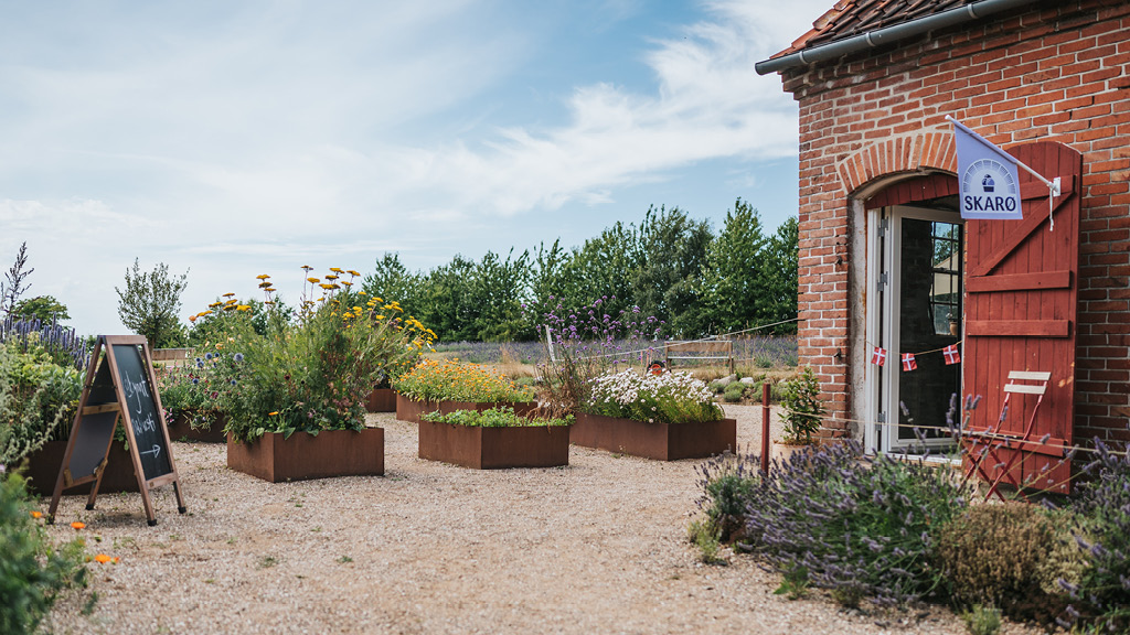 Guided tour at Ærø Soap Company
