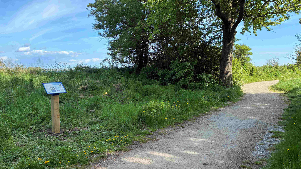 Lyt til 10 vandrefortællinger fra Øhavet, når du besøger Ærø