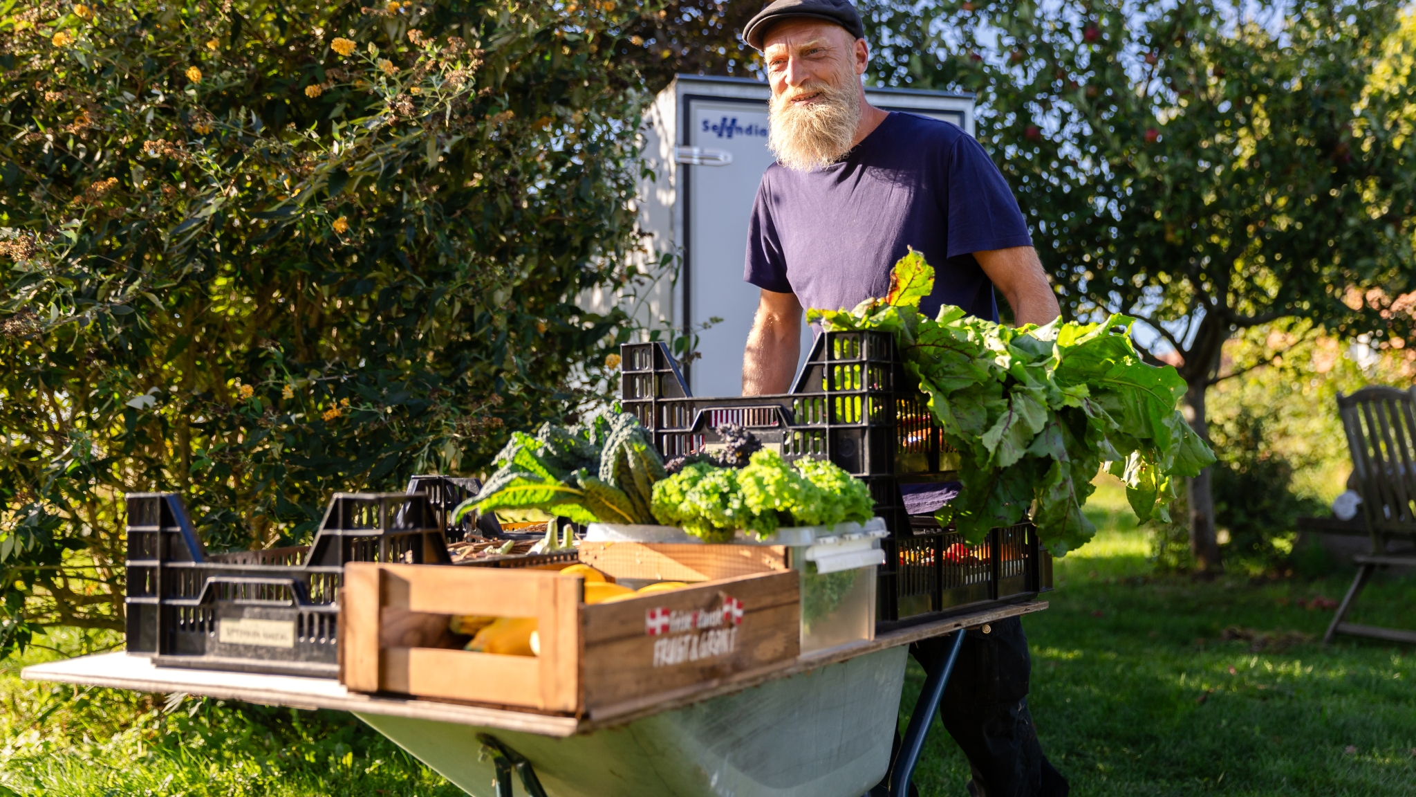Mad, oplevelser og lokal grønt på Ærø