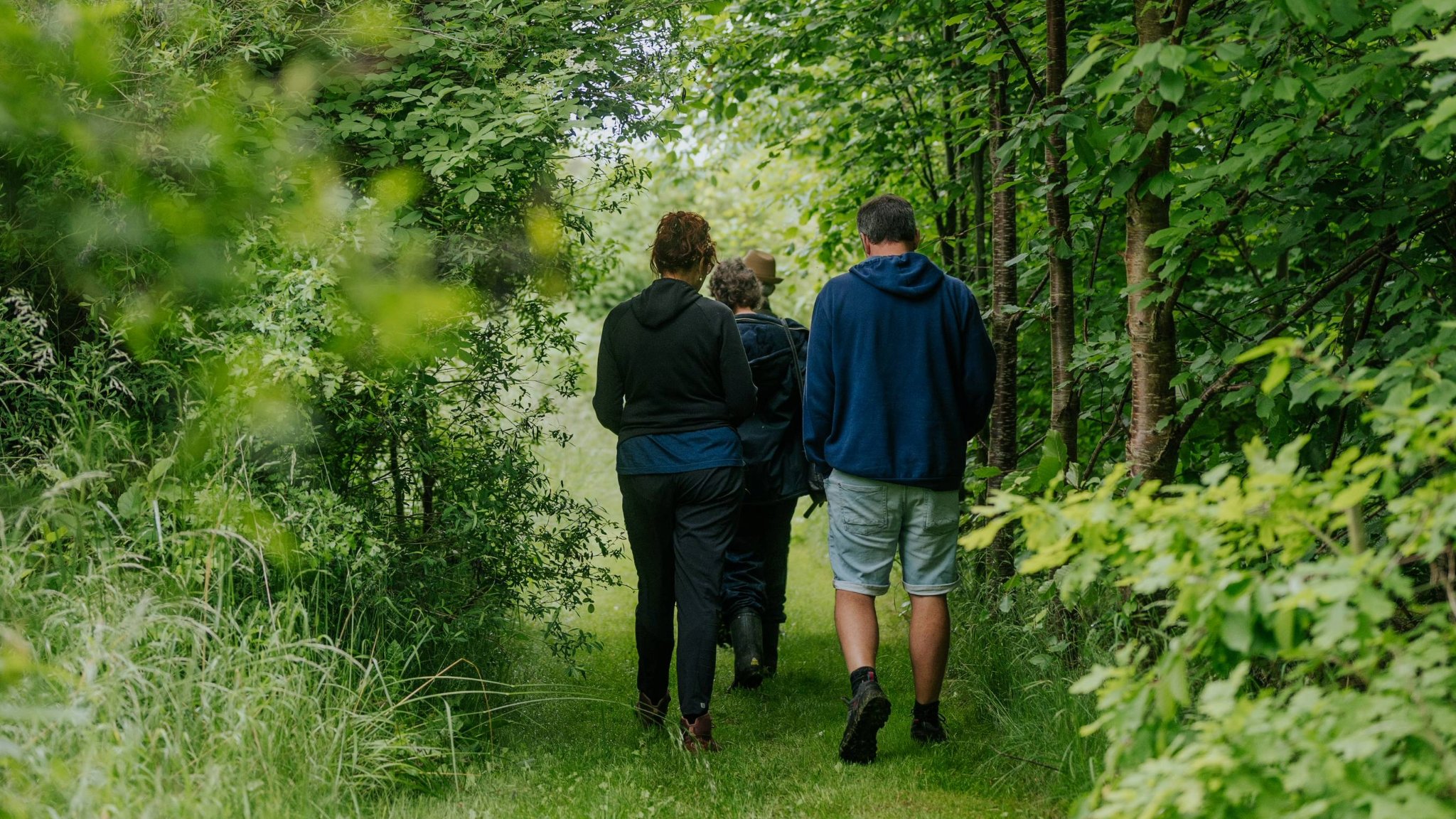 Vandretur i Bregninge i skoven