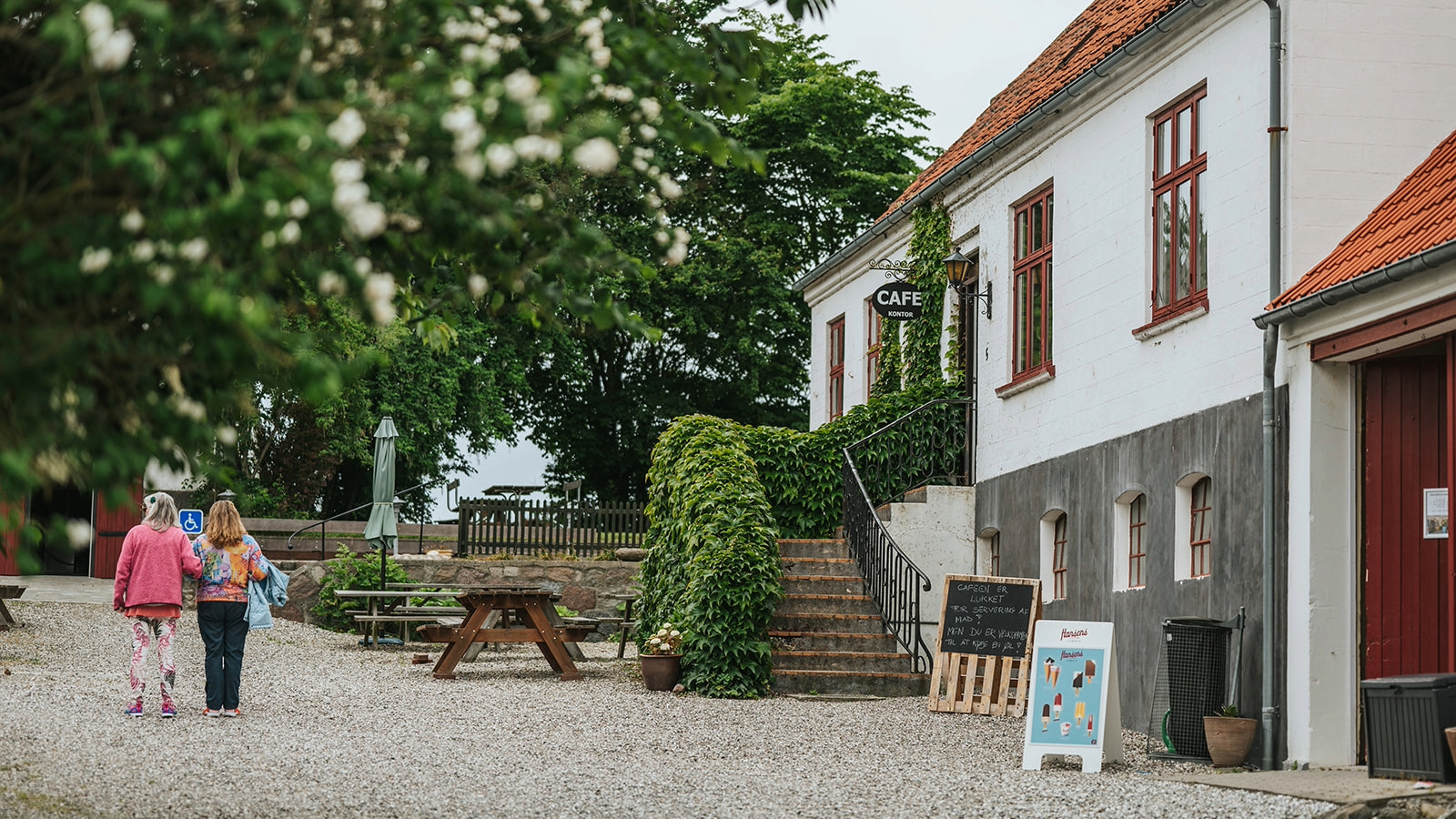 Ærø Bryggeri øl-safari