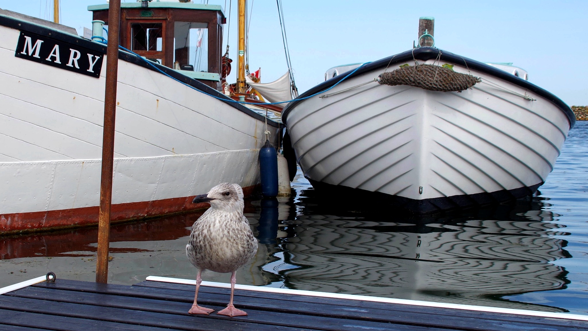 Maritime oplevelser på Ærø - Fyn Rundt i Marstal