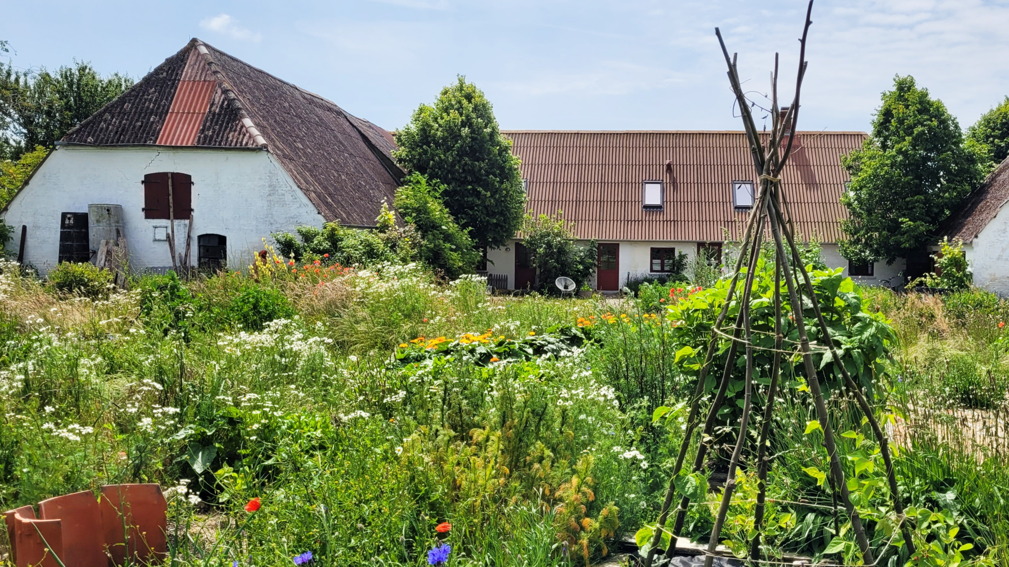 Overnatning på Ærø