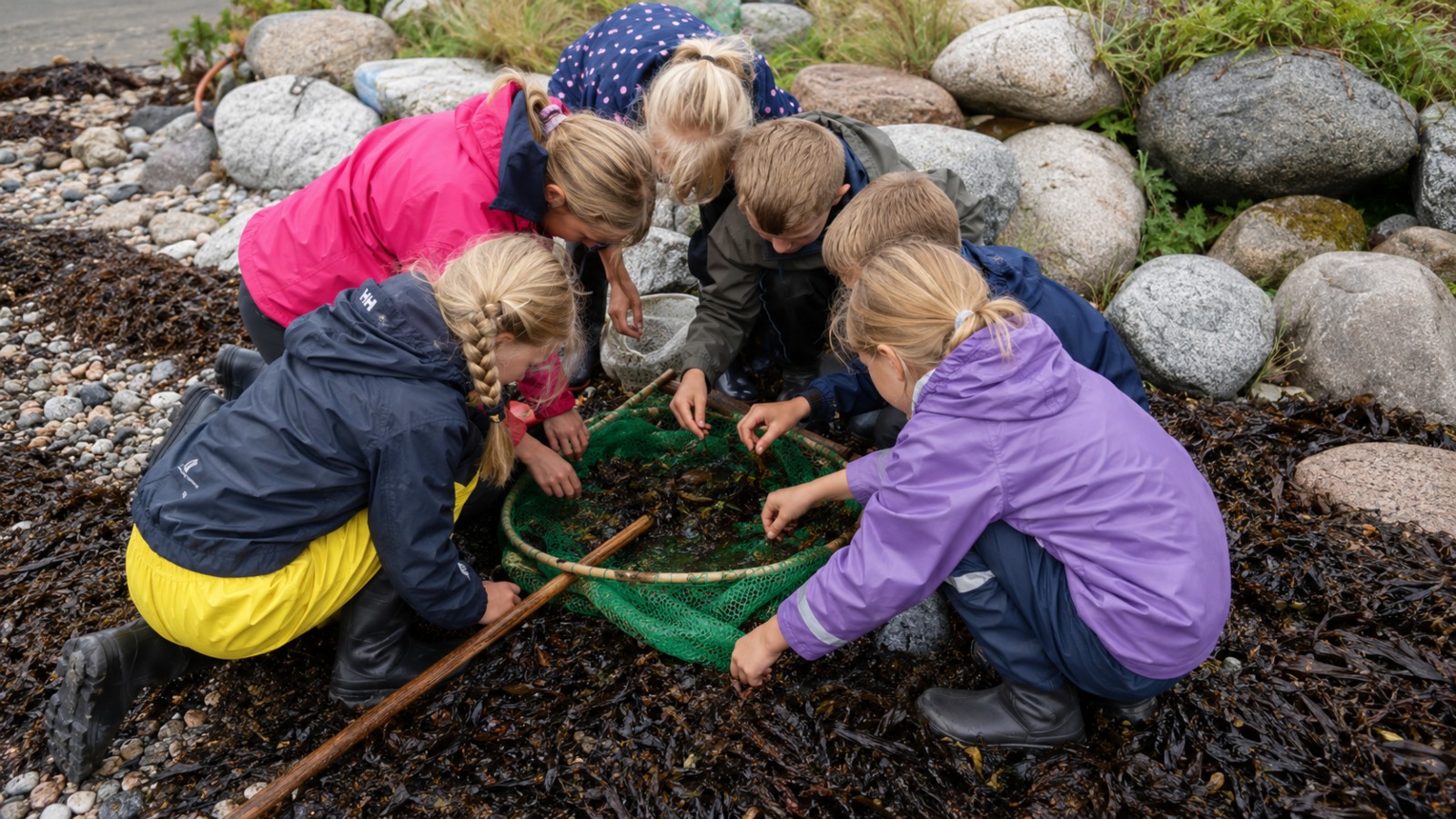 Børneaktiviteter på Ærø