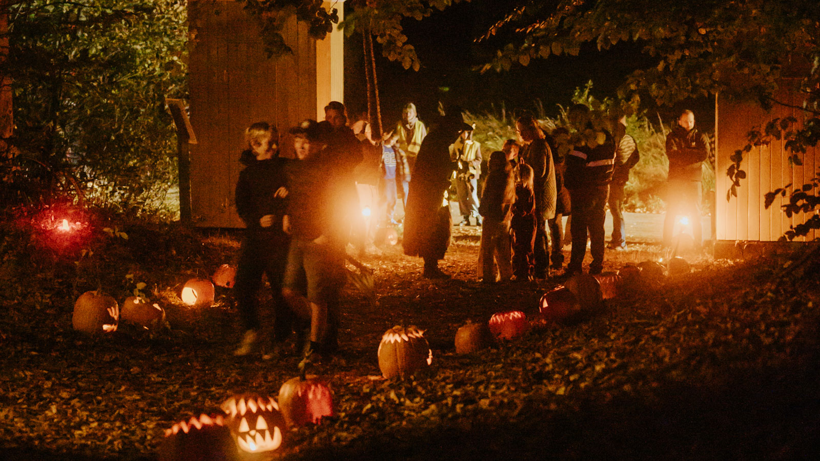 Halloween i Laaddenbjerg Søby