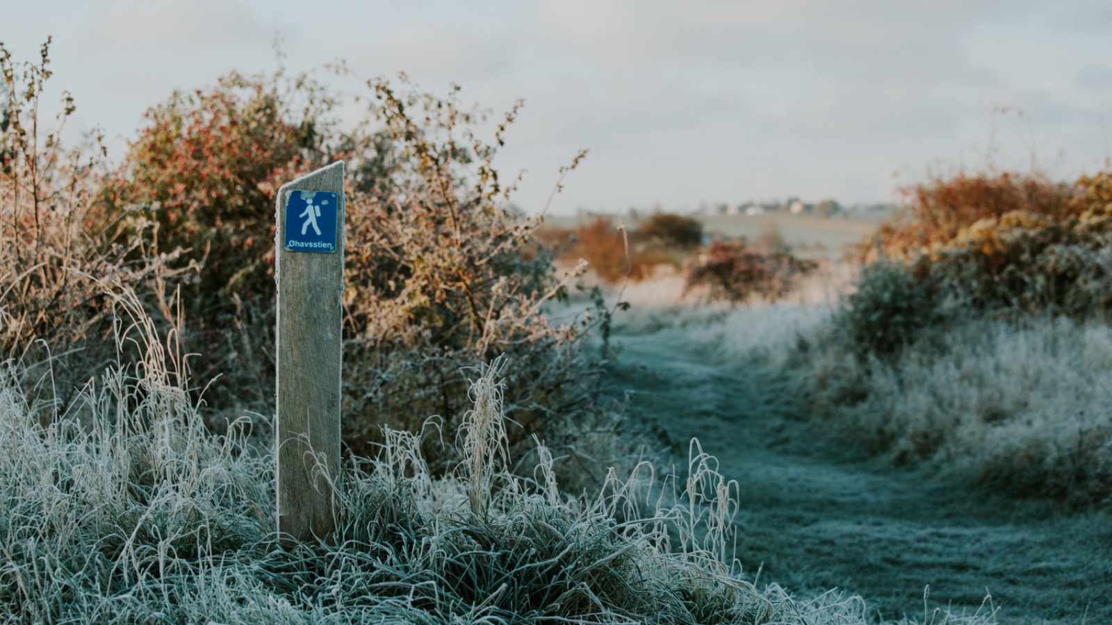 Inselmeer-Wanderwegs auf Ærø